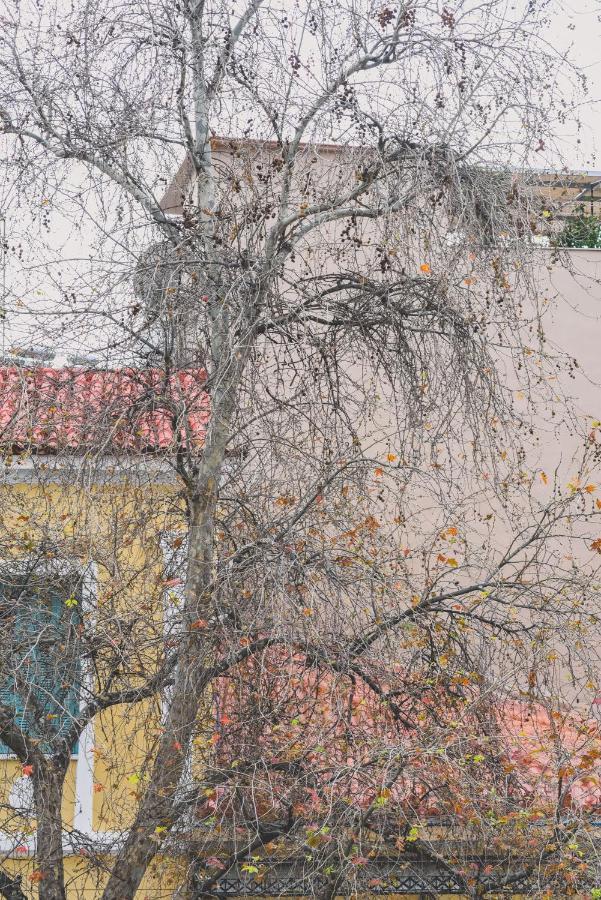 Neoclassical Apartment Near Acropolis - Livingstone Crystal เอเธนส์ ภายนอก รูปภาพ